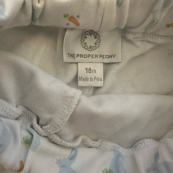 The proper peony Easter shorts - Picture 2 of 2